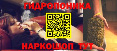 амф Ливны