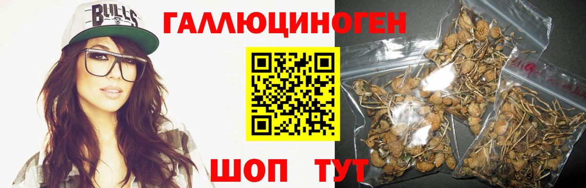 Россия  Галлюциногенные грибы мицелий  Вход с VPN 