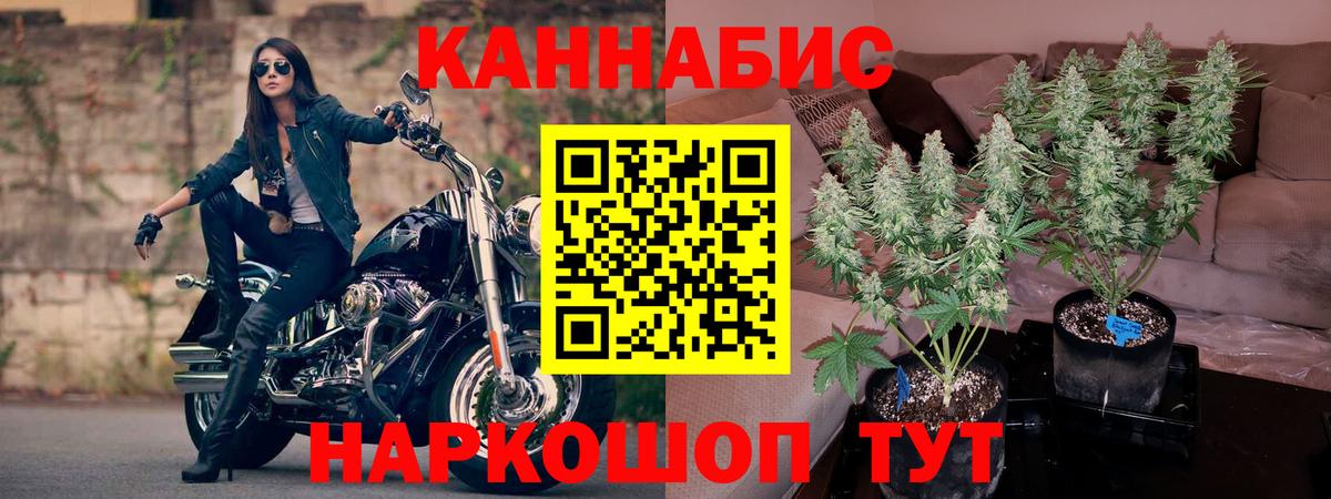 Бошки Шишки ГИДРОПОН  Бошки марихуана марихуана  Конопля план  Россия  Шишки марихуана VHQ  Вход с VPN 